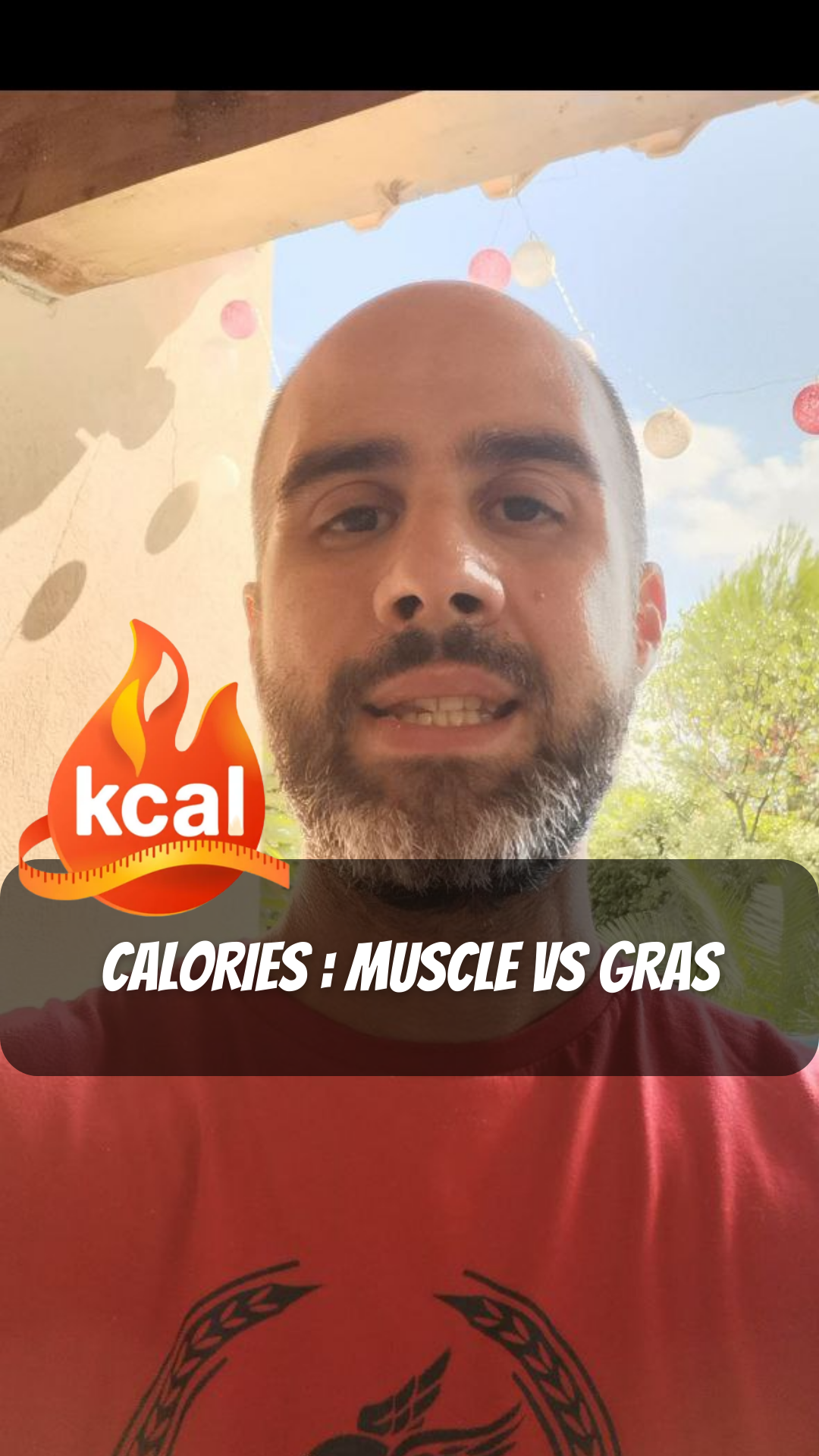 Calories : Muscles vs Gras