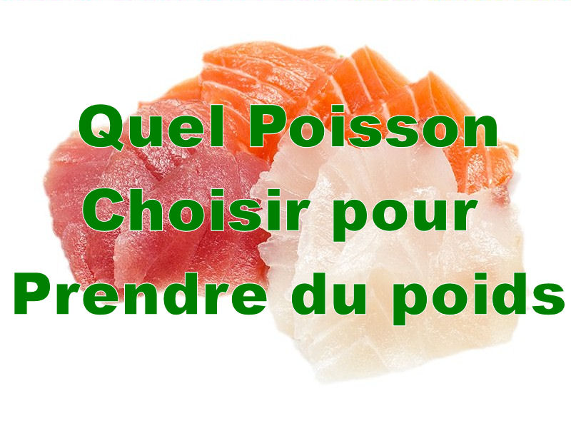 Quel poisson choisir pour la prise de poids