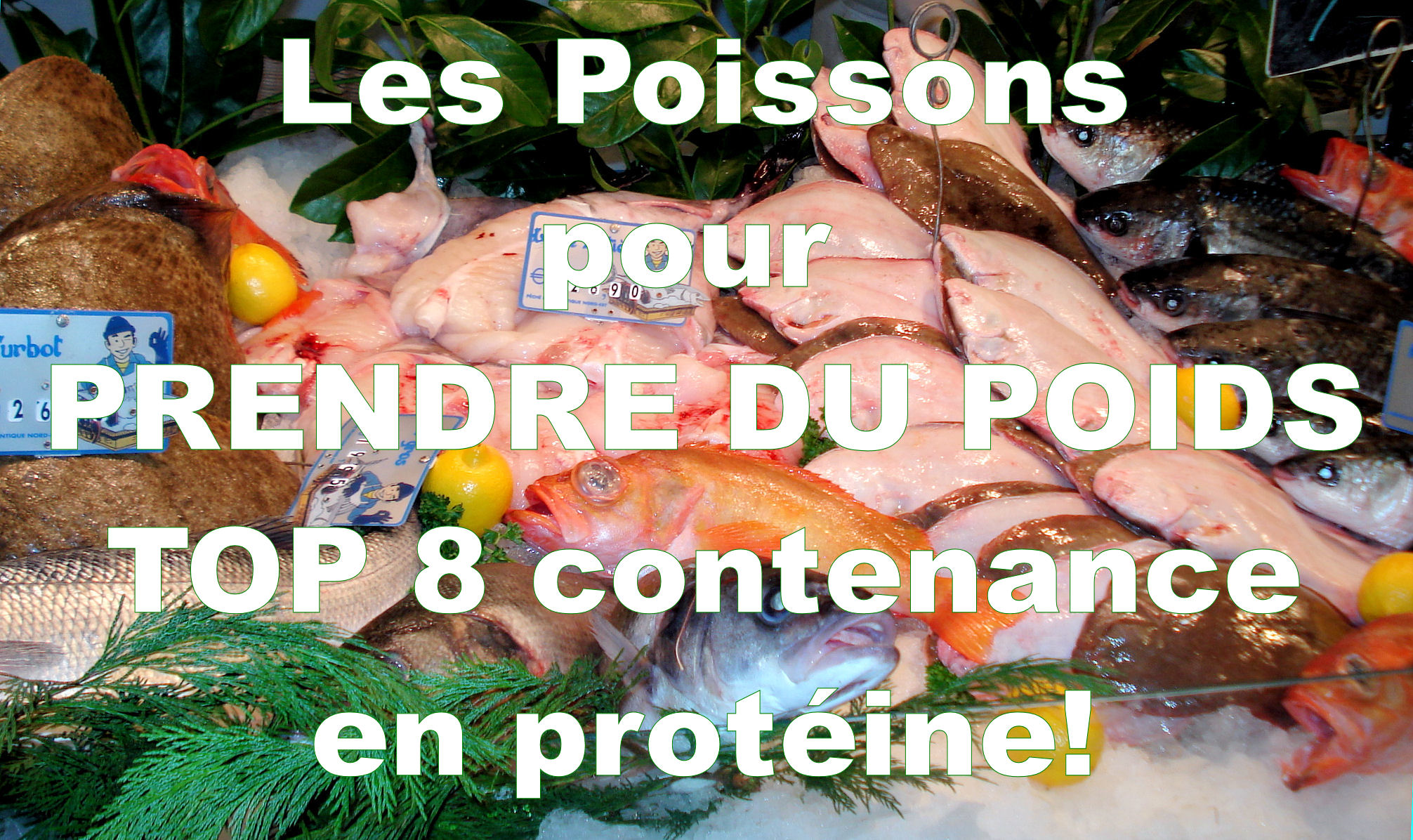 TOP 8 des Poissons pour la prise de poids